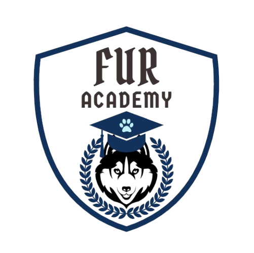 Fur academy Pet services chennai